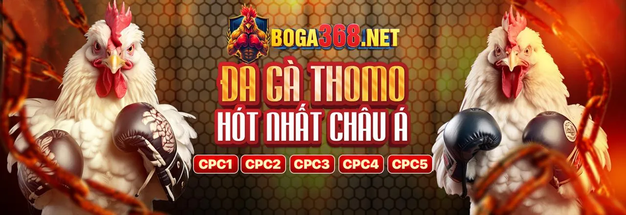 Tổng quan về rs99 chính thức, đội ngũ chuyên nghiệp và tầm nhìn